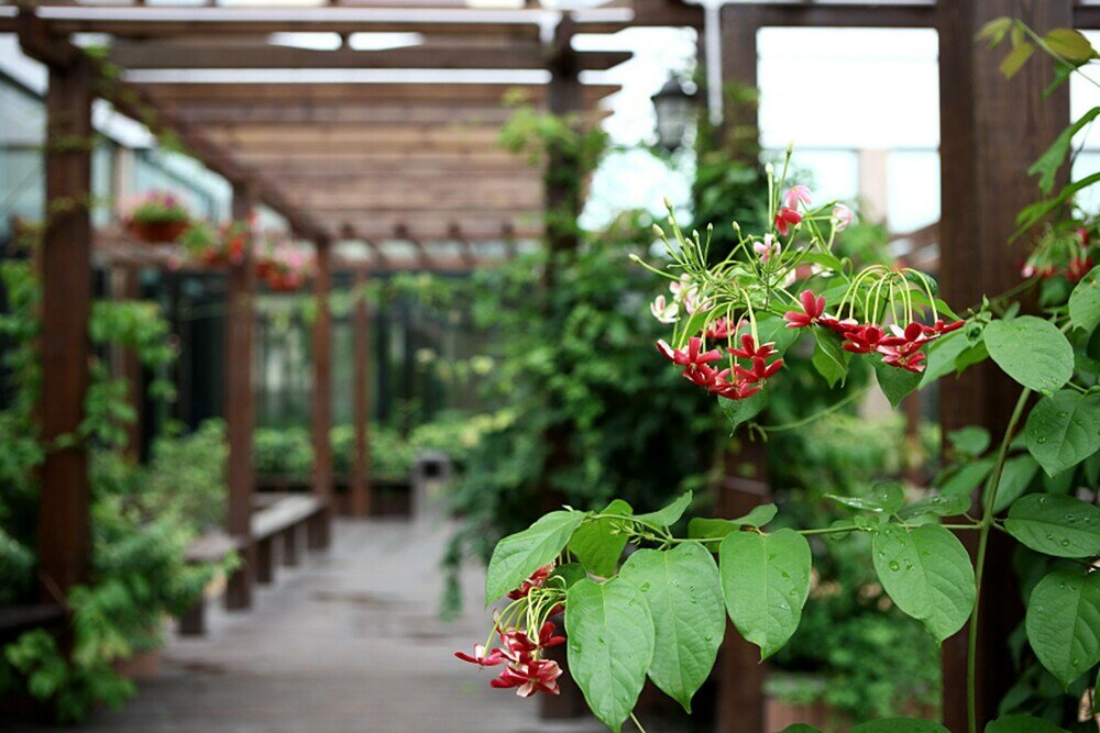 Фото Home Fond Hotel Nanshan