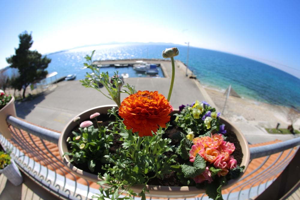 Фото Hotel Delfin