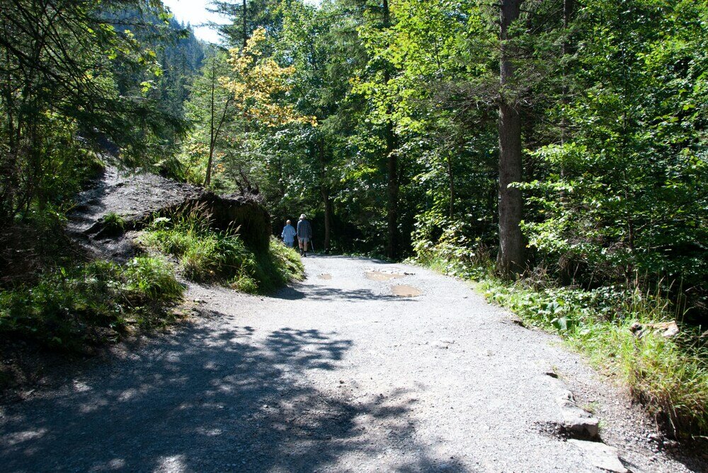 Фото Pensjonat Telimena - Polskie Tatry S. A.