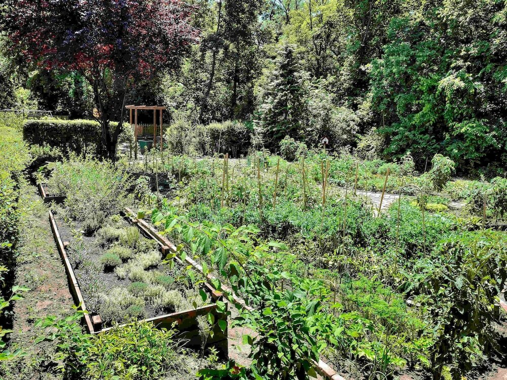 Фото Ibis Budapest Citysouth