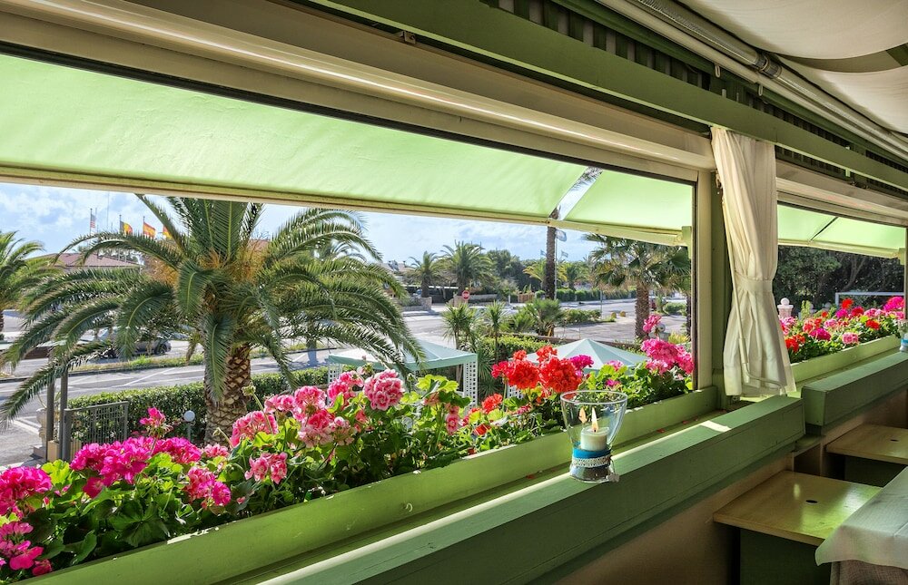 Фото Hotel Siesta