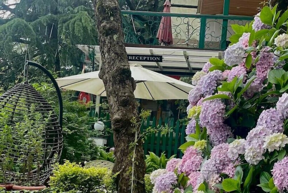 Фото Hotel Mongas