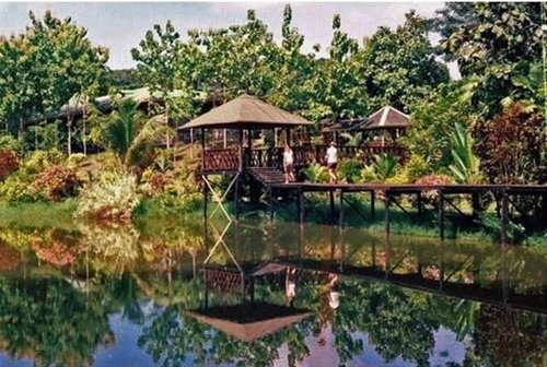 Внешний вид отеля Sepilok Jungle Resort в Районе Сандакане, фото 1