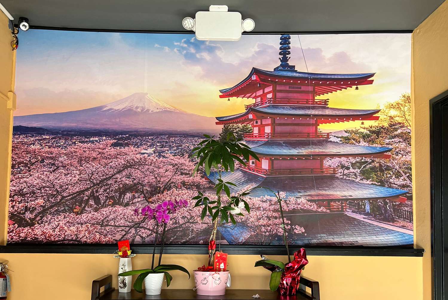 Фото La Quinta Inn & Suites by Wyndham San Francisco Airport West