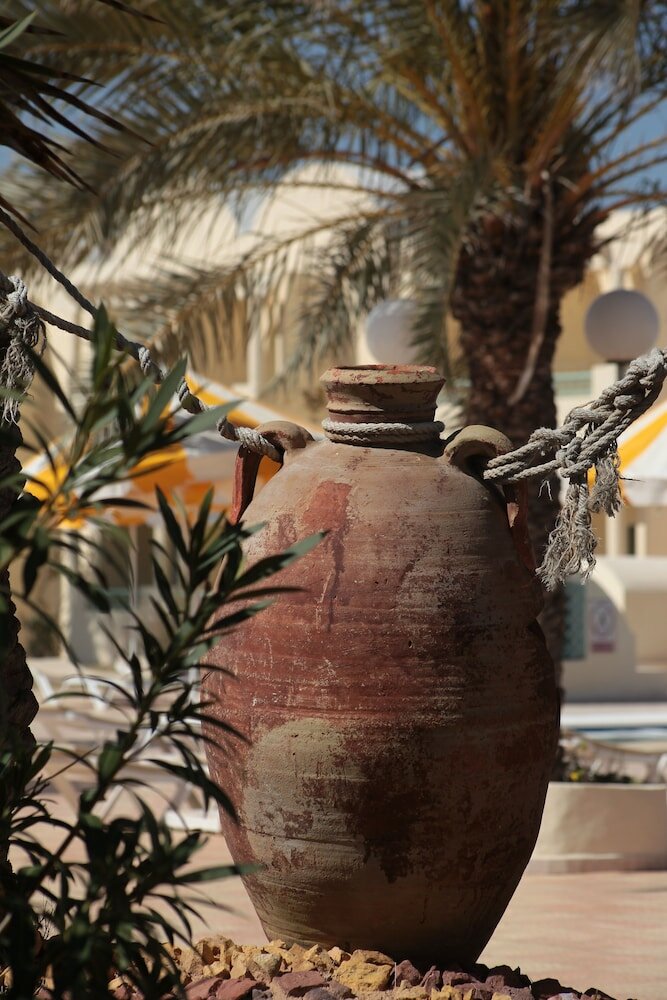 Фото Venice Beach