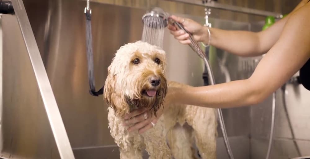 Фото Bike & Boot