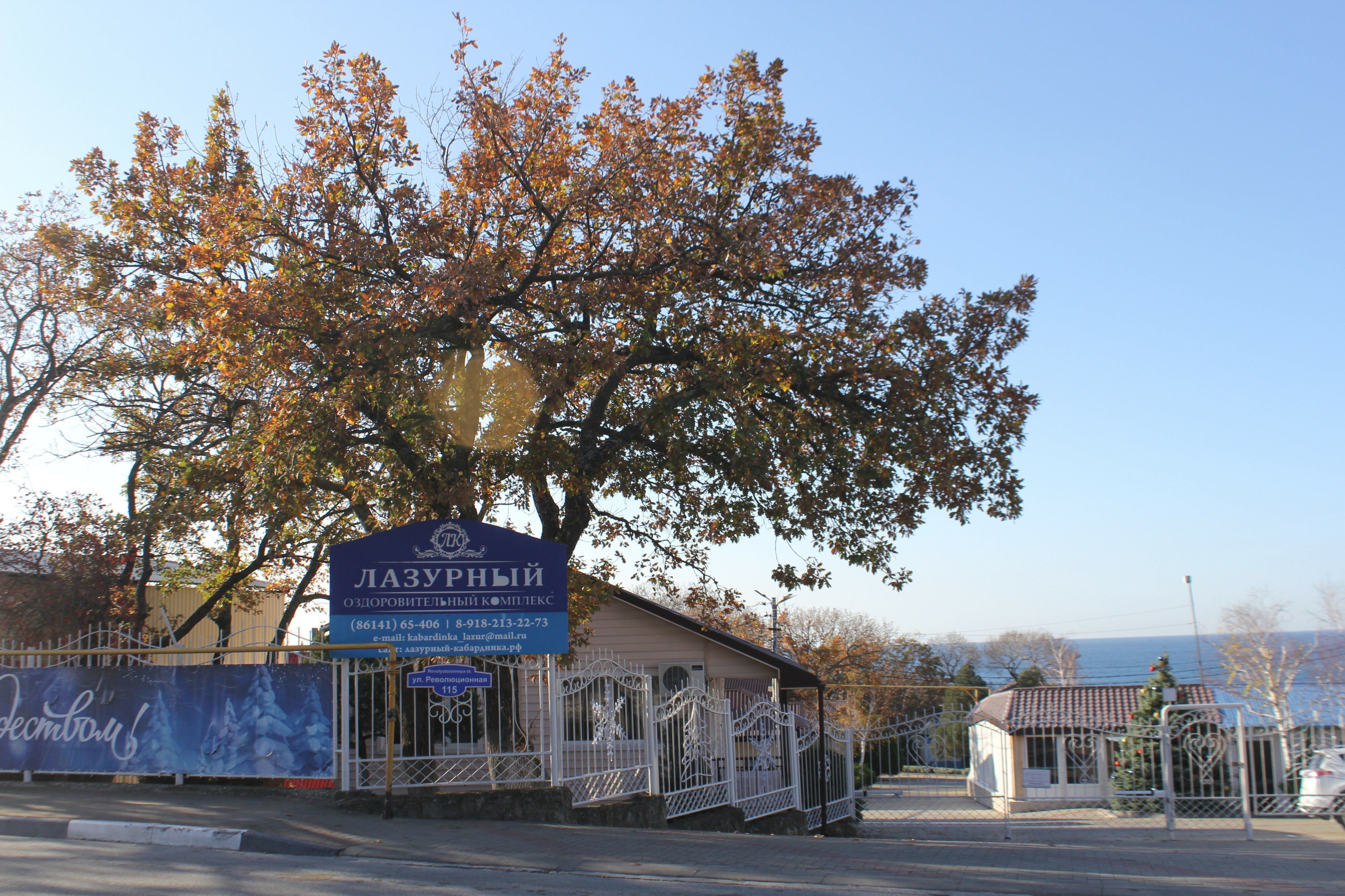 Фото Лазурный