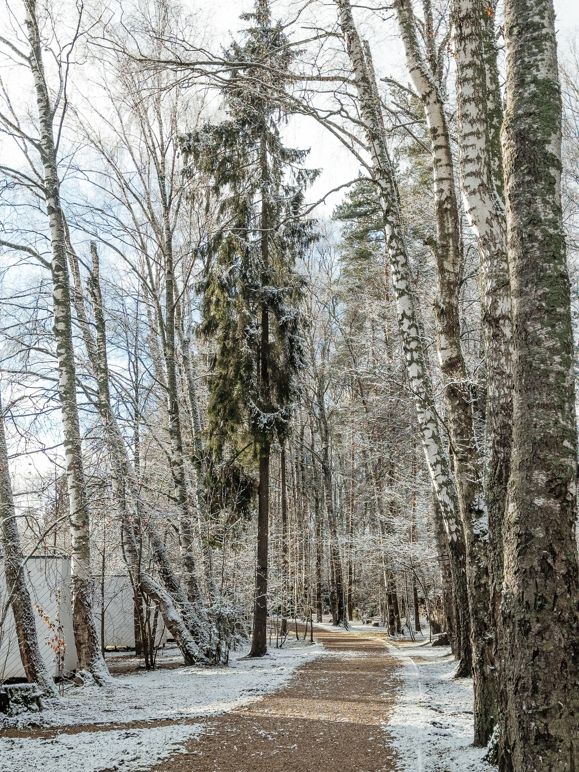 Фото Берег желаний