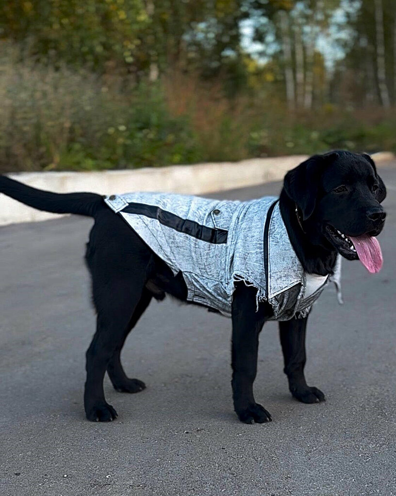 Tailor Габриель, Tula, photo