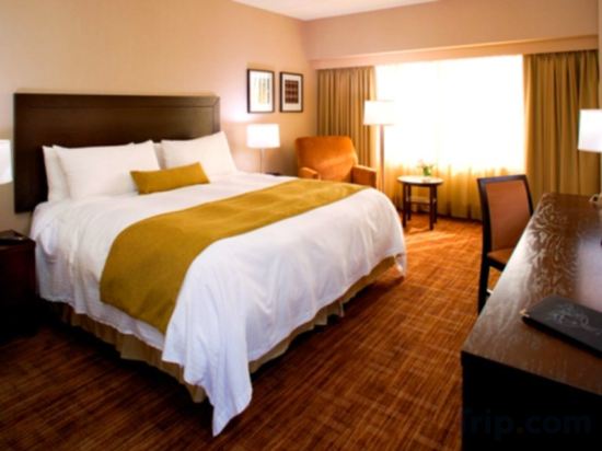 Фото Delta Calgary Downtown