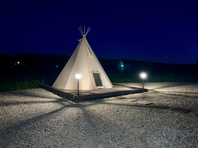 Дома фигвам проект