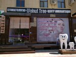 Walnut Tree (Samarkand, Rudaki Street, 107) ، عيادات الأسنان