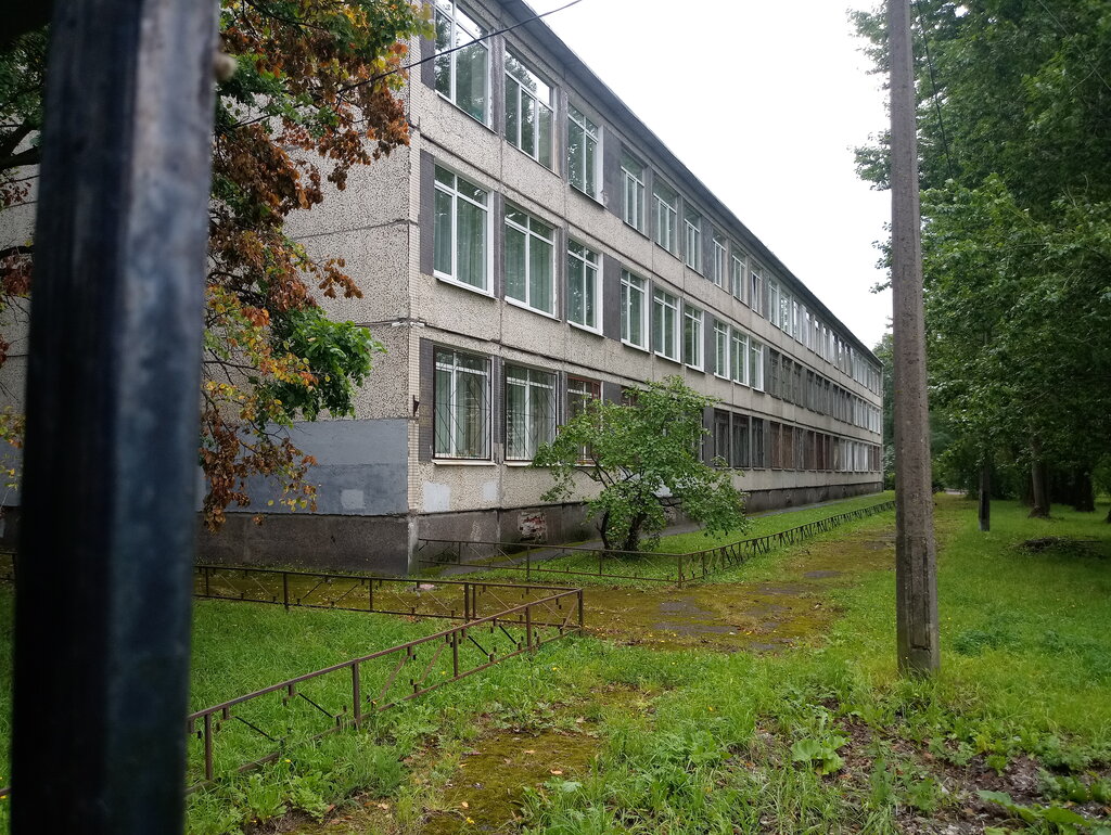 Фото школы красносельского района