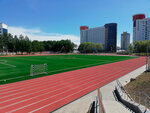 Artificial turf (Lazo Street, 16), flooring for playgrounds