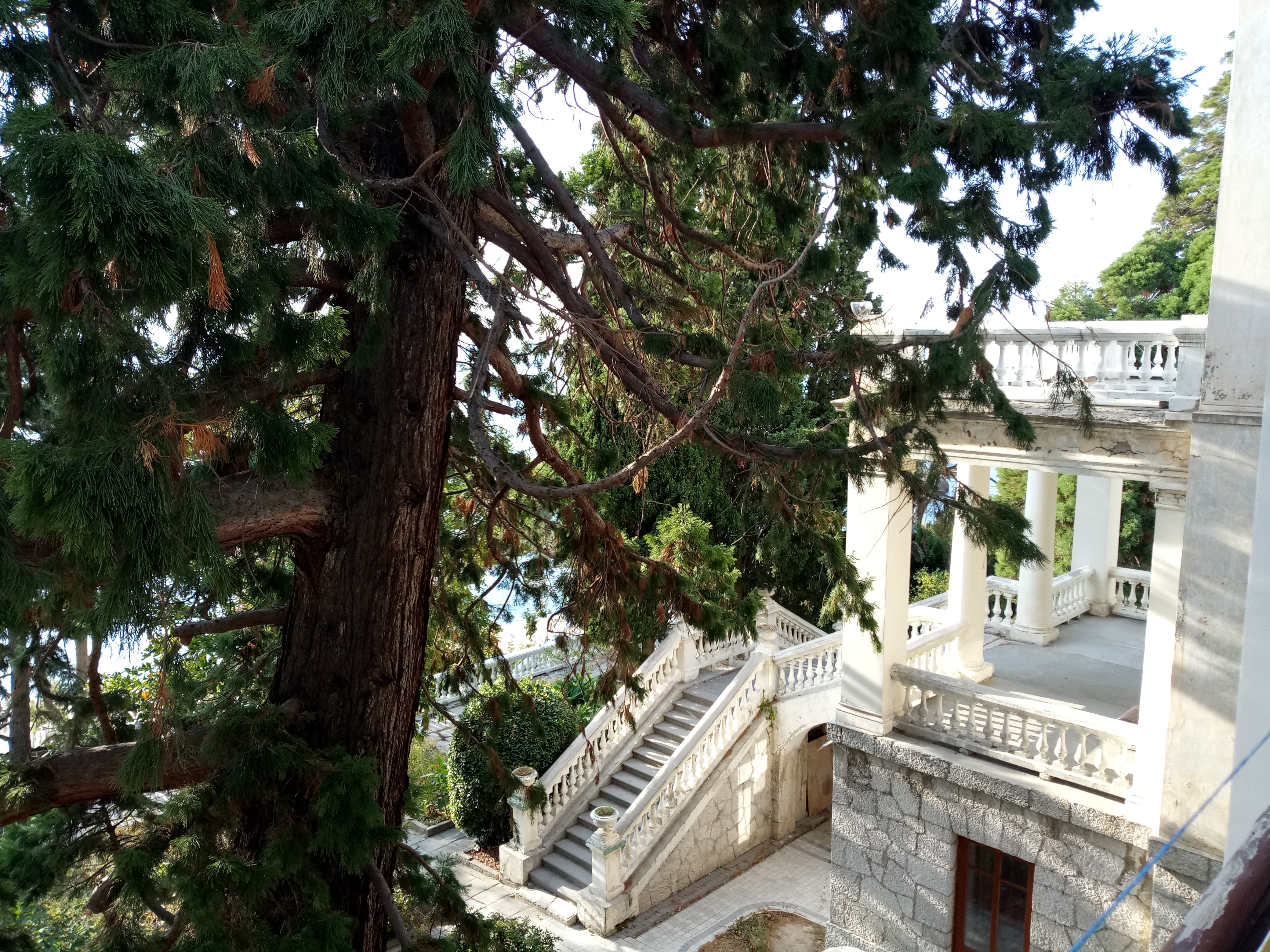 Фото Лиго Морская