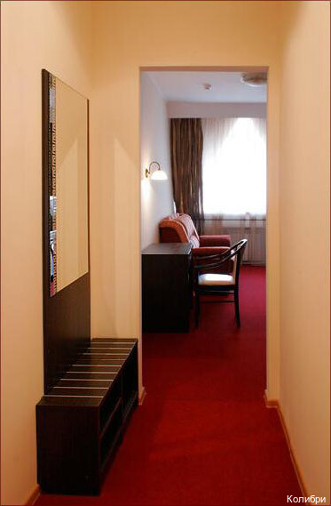 Фото Колибри