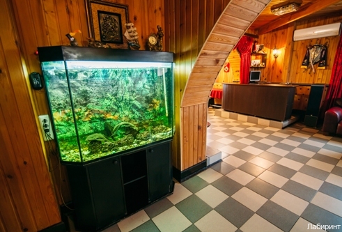 Фото Лабиринт