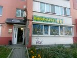 Birkhaus (Bestuzheva Street, 15А), beer shop