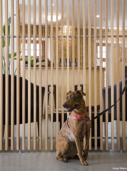 Фото Hotel Meira