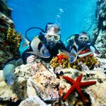 Ayvalik 3 Sea Diving Center (Balıkesir, Ayvalik District, Atatürk Blv.), diving