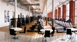 Flex Gym (1-y Sovetskiy pereulok, 25), fitness club