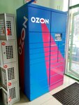 Ozon Box (mikrorayon KSM, ulitsa Truda, 23В), point of delivery