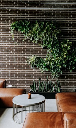 Фото Scp Hotel Colorado Springs