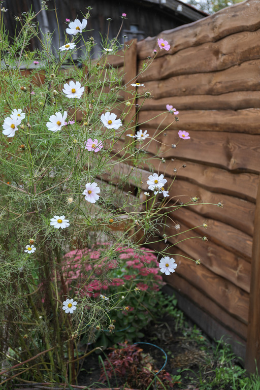 Фото Дом на Сенном