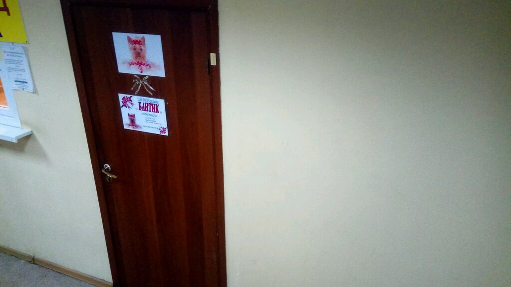Pet salon Parikmakherskaya dlya zhivotnykh Bantik, Moscow, photo