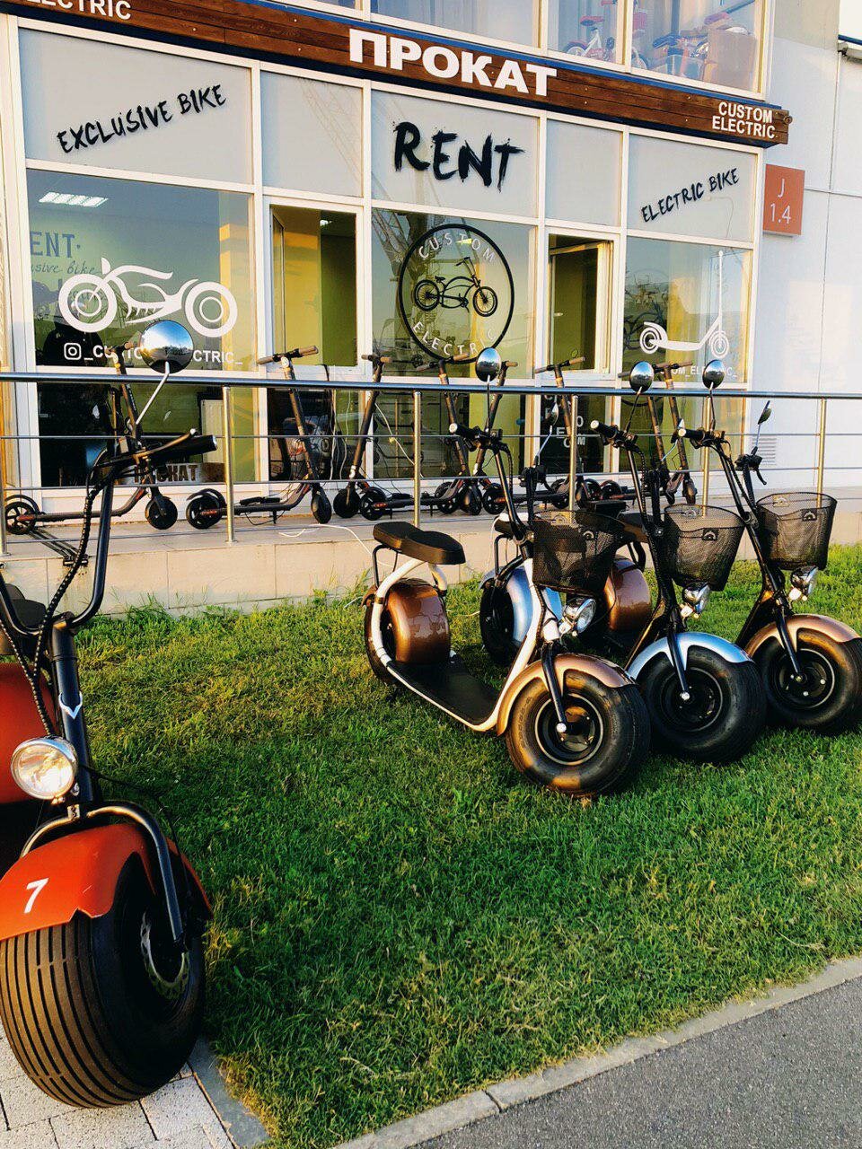 custom electric bike