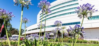 Фото Royal Sonesta Houston Galleria