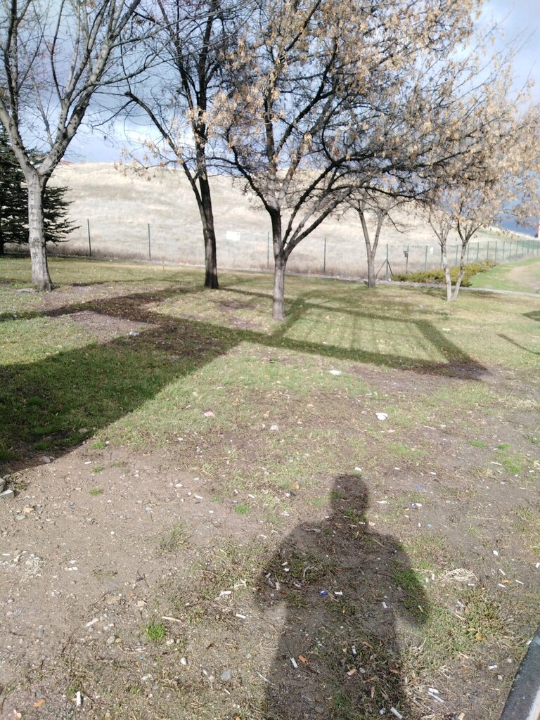 Urban forest Nalan Park, Ankara, photo