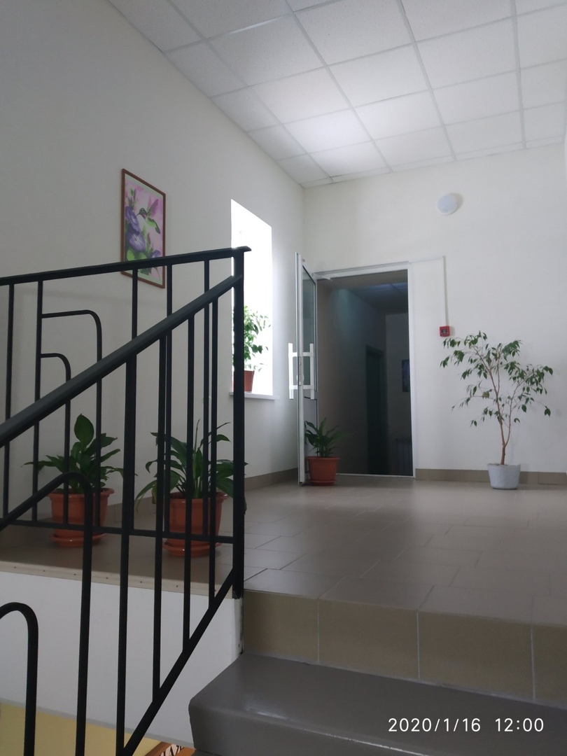 Фото Колибри