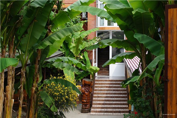 Фото Лукоморье