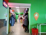Магазин женской одежды (Bryansk Urban District, Bezhitskiy City Administrative District, ulitsa Kamozina, 46), clothing store
