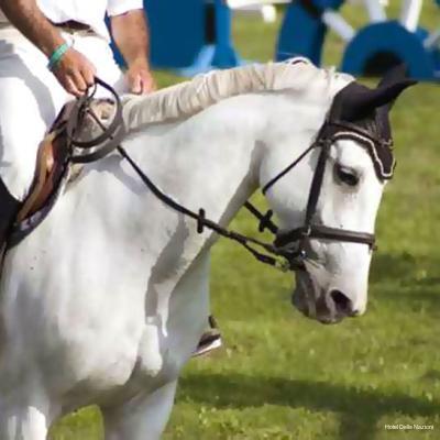 Фото Hotel delle Nazioni