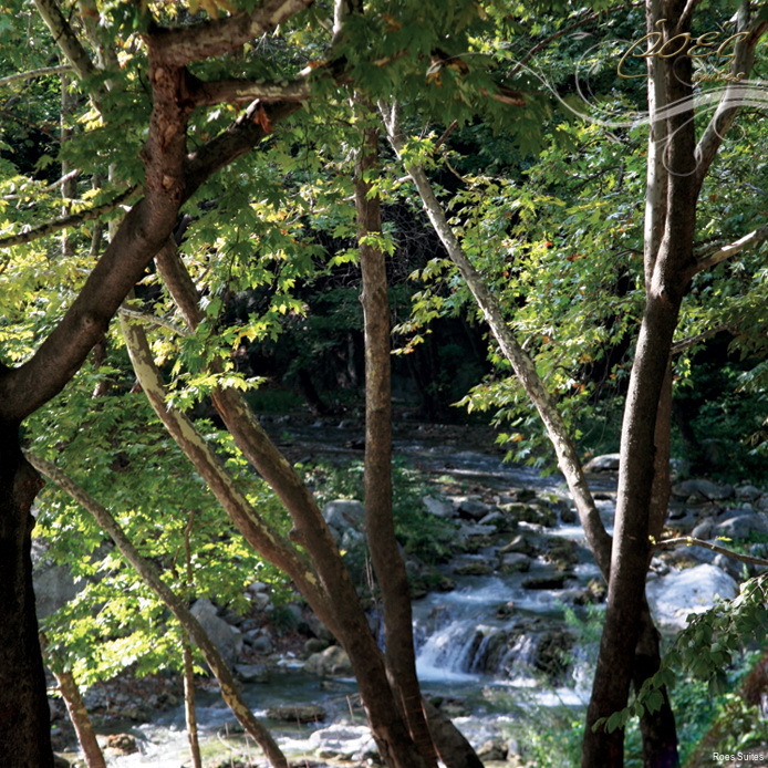 Фото Roes Suites