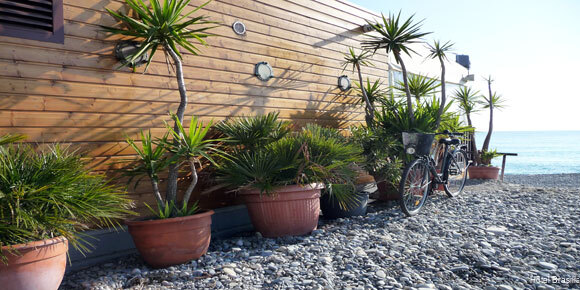 Фото Hôtel Brasilia