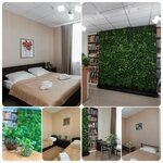 Kontinental Green Dream (ulitsa Entuziastov, 14), hotel
