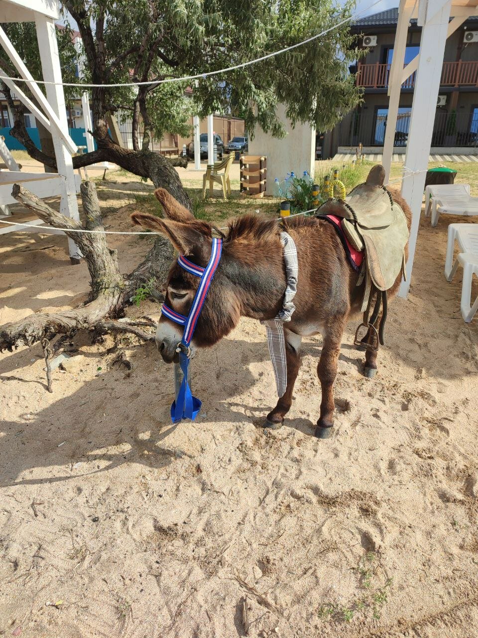 Фото Азов Вилладж