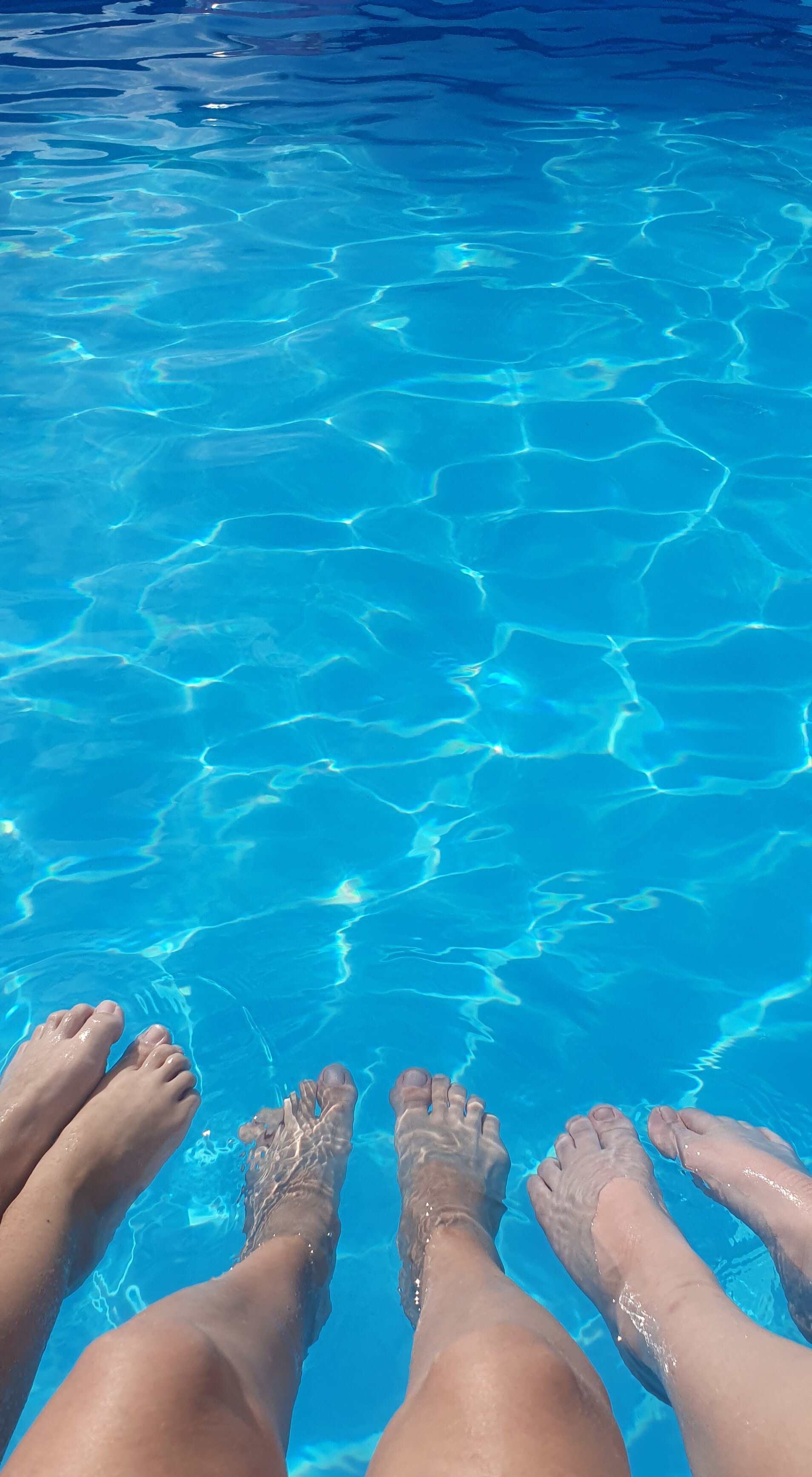 Фото АлтайДача22