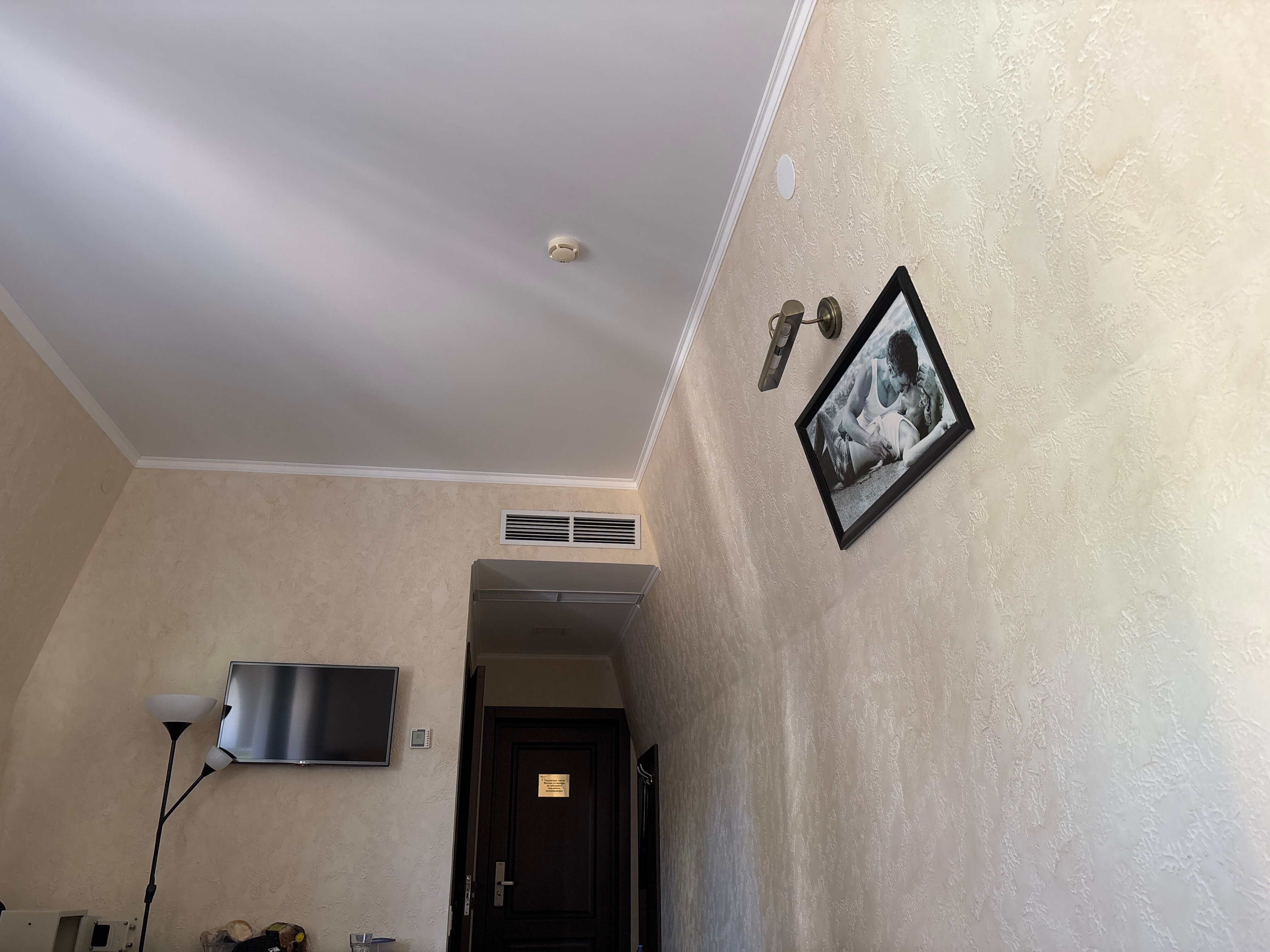 Фото Колибри