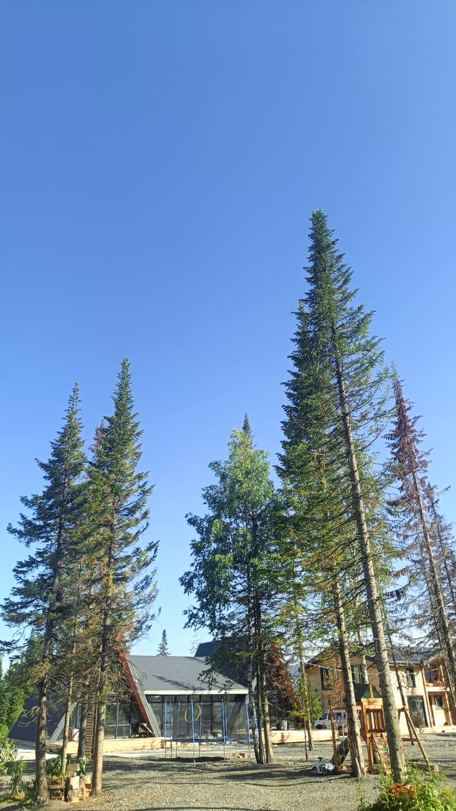 Фото ЭльГора