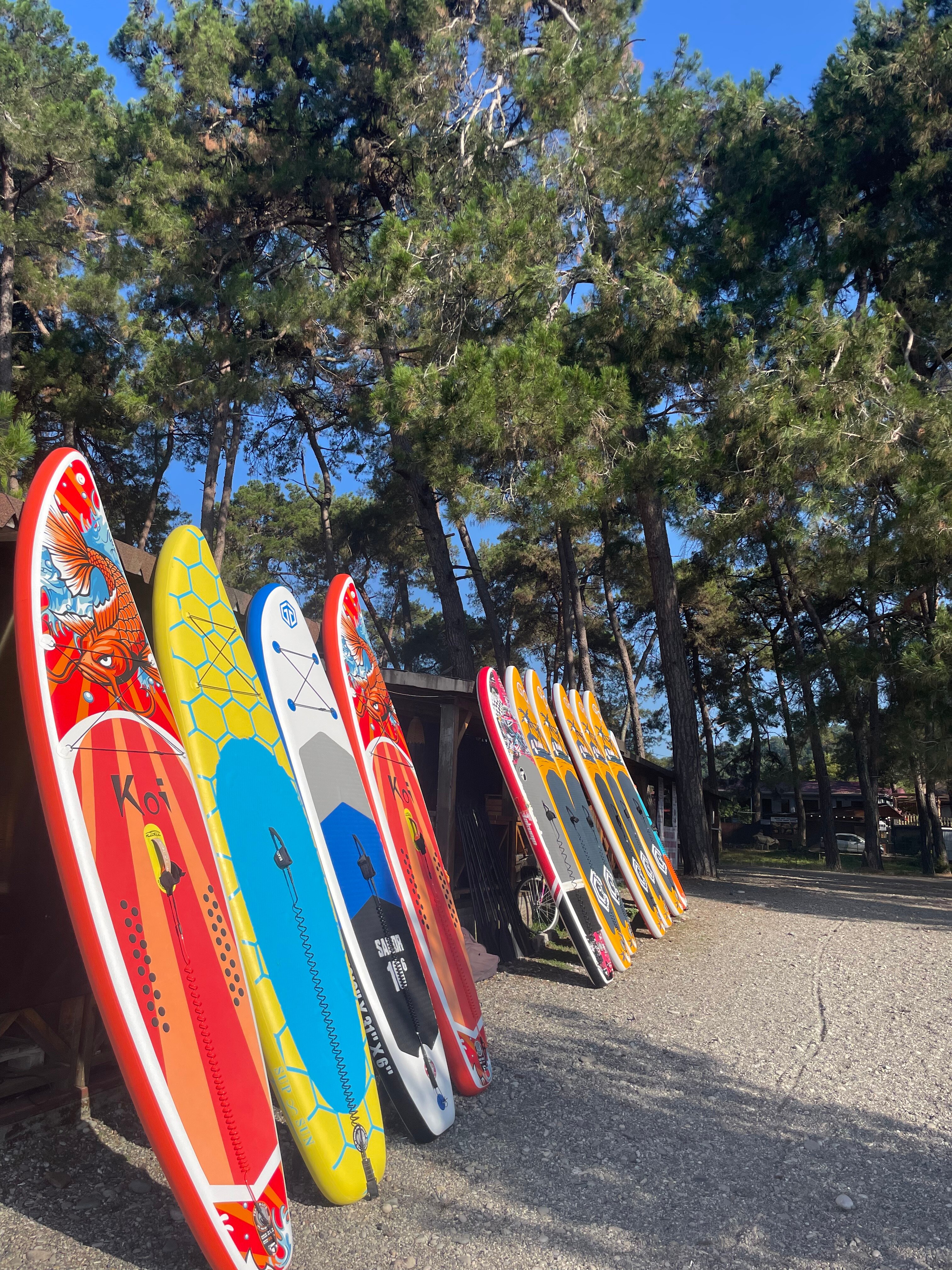 Фото Апсара