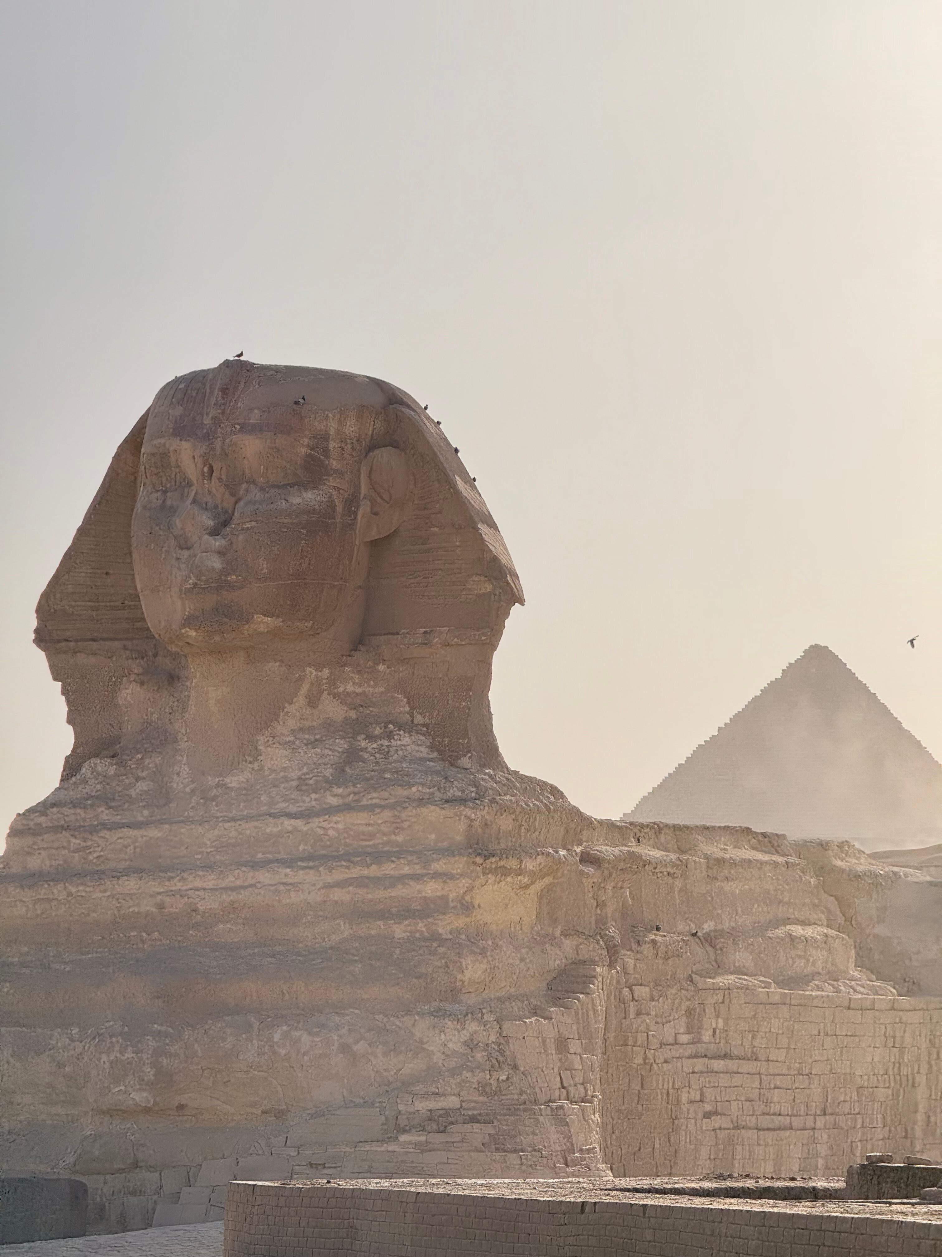 Фото Eden Rock Hotel