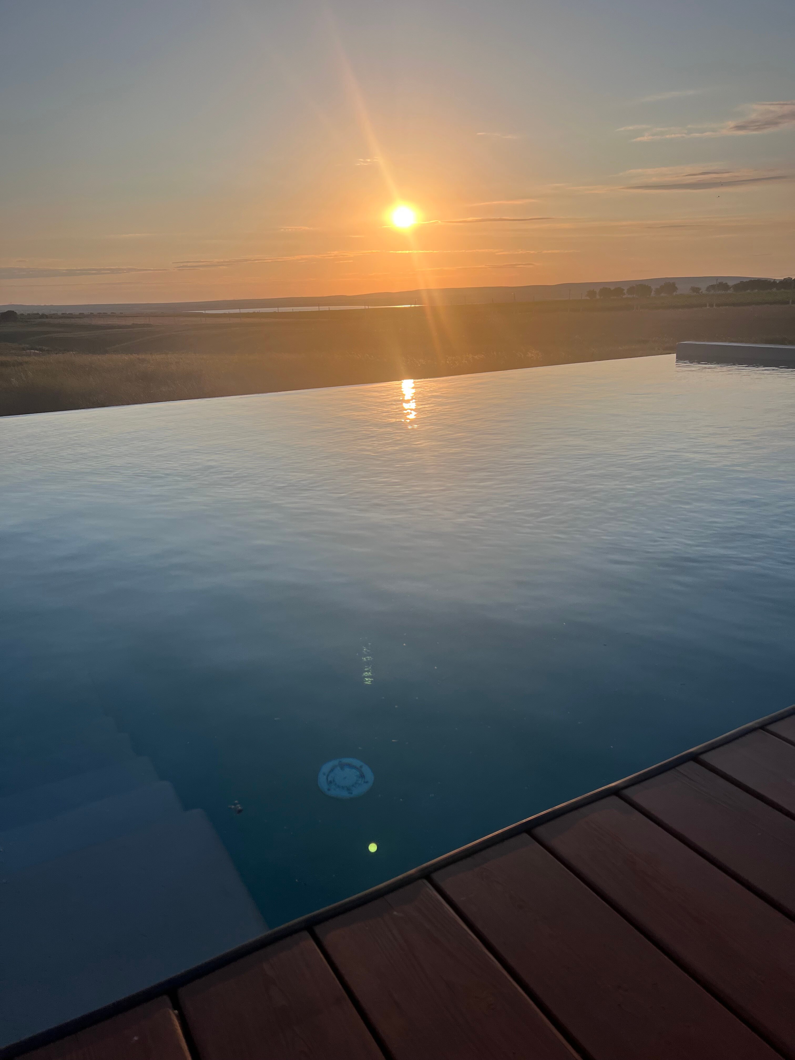 Фото Фридом