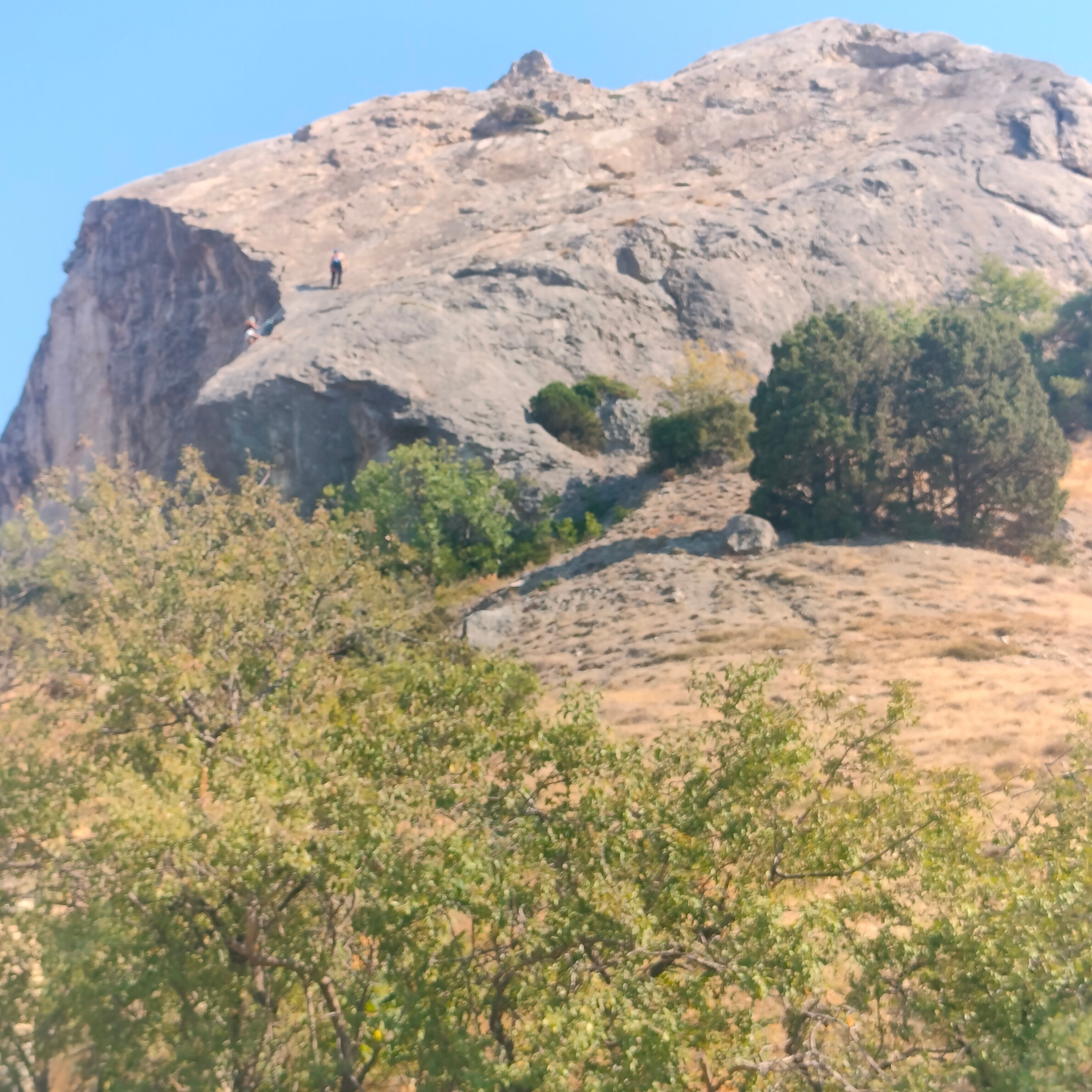 Фото Перчем