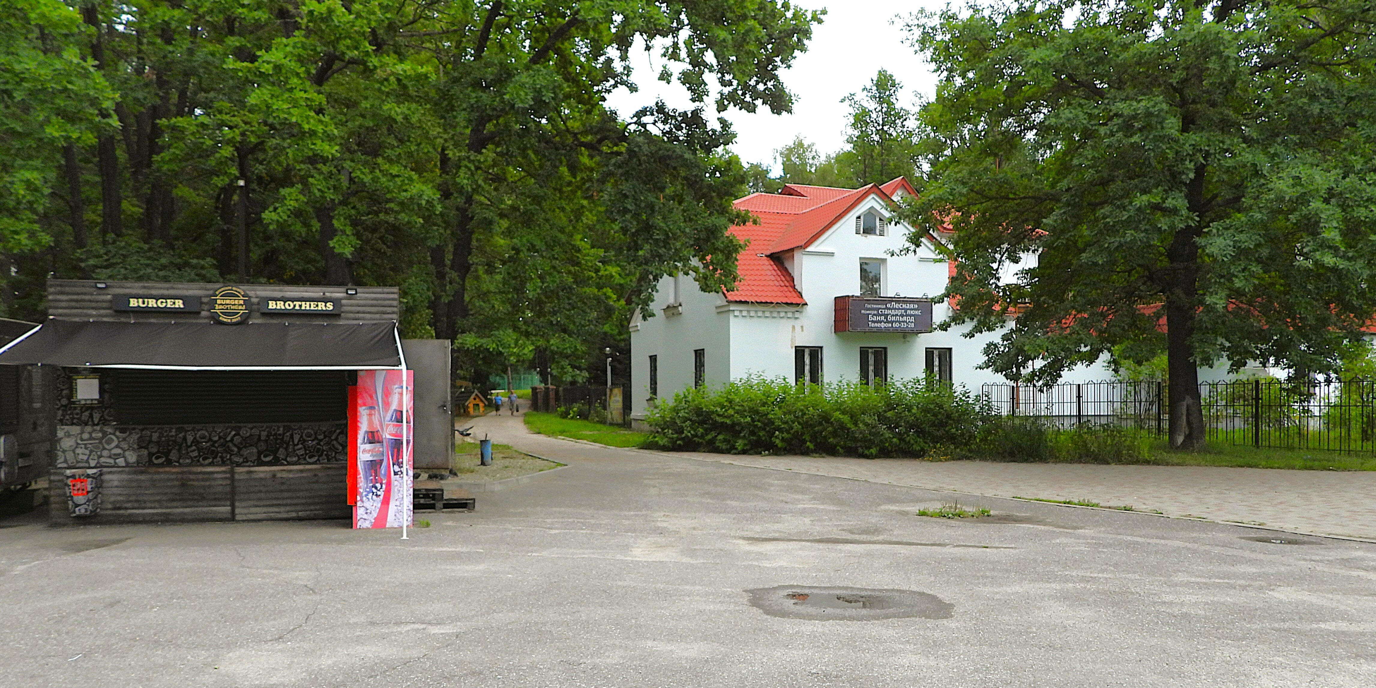 Фото Лесная