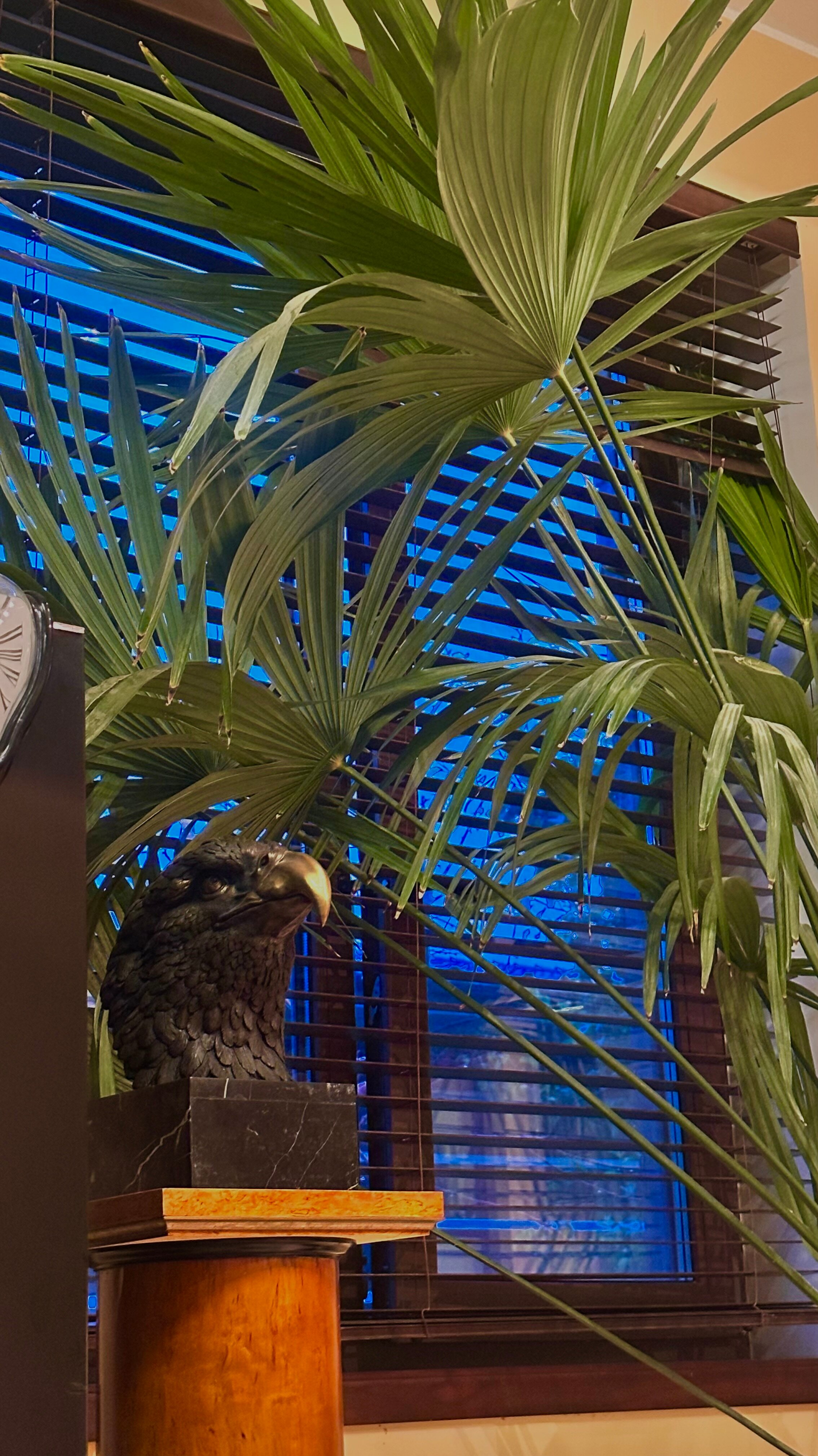 Фото Art History House