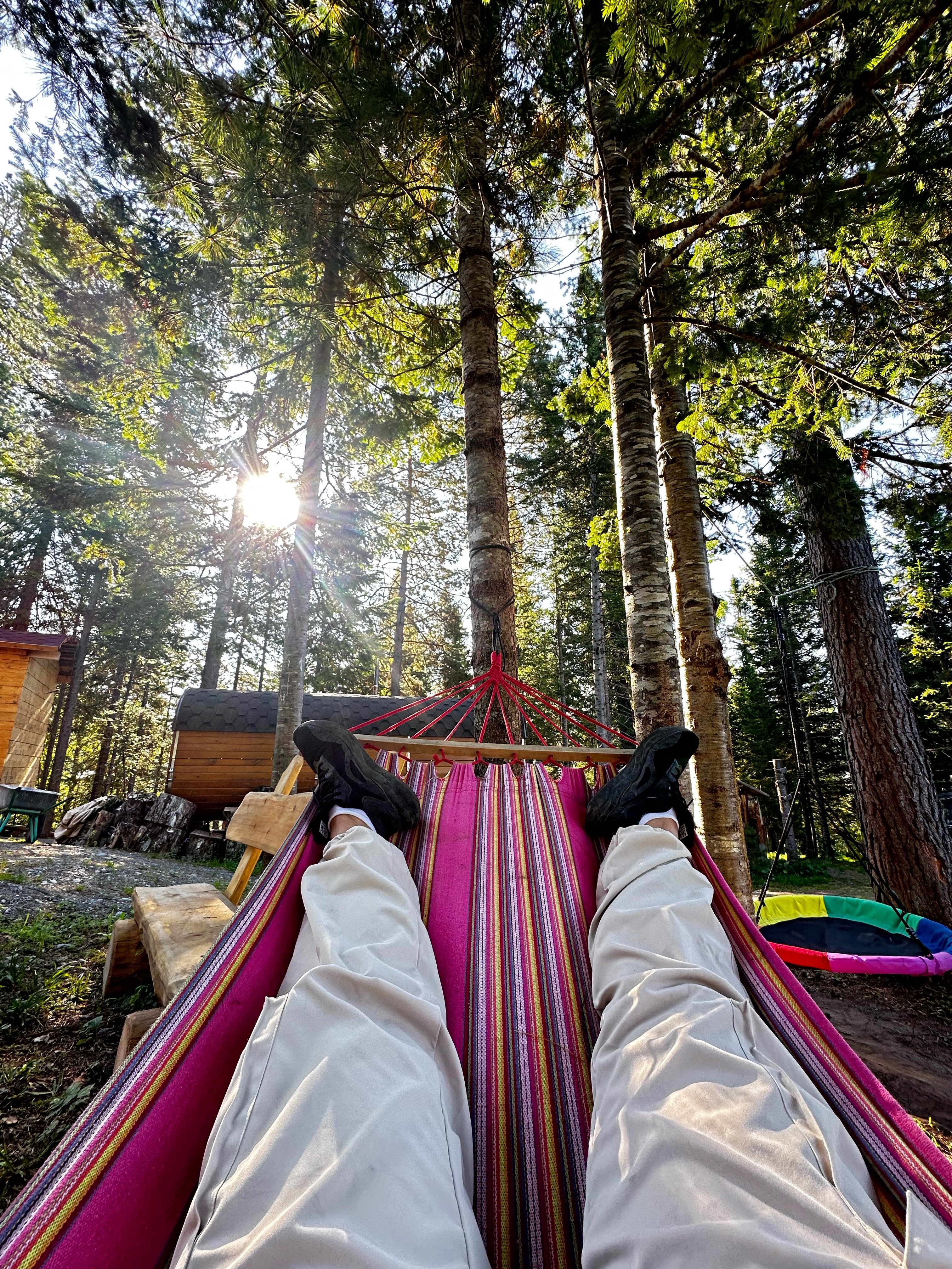 Фото Кедровая берлога